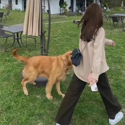 正阳门下小女人