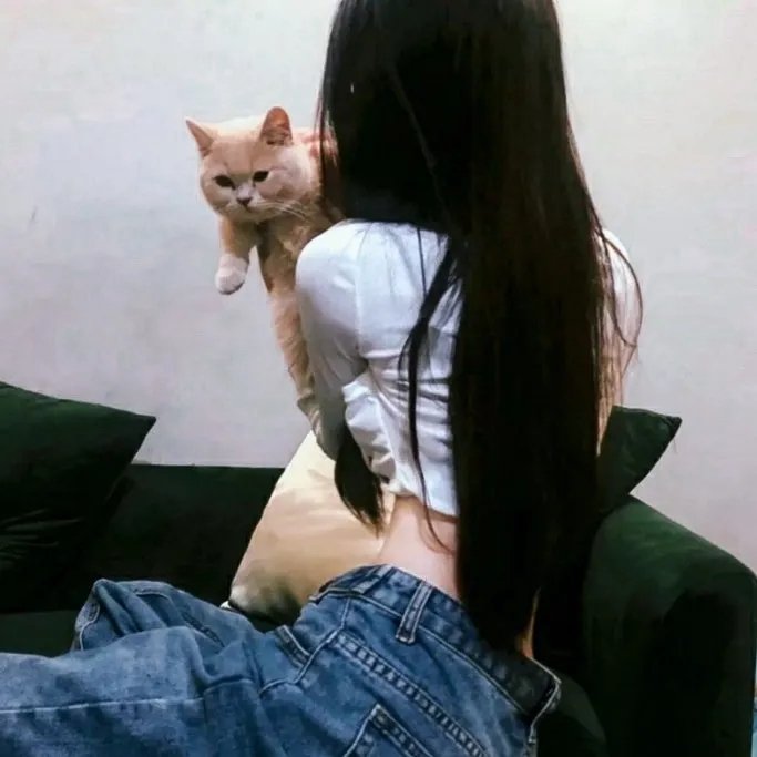 堕落花